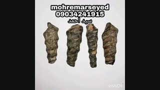 مهره مار و ناموس کفتار اصل