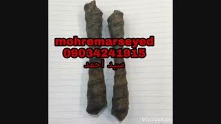 مهره مار و عرج سواحل و ناموس کفتار