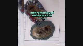 مهره مار با دعا و طلسم تضمینی