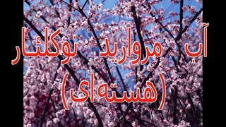 کاتاراکت نوکلئار - سایت چشم پزشکی دکتر علیرضا نادری