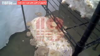 پرورش قارچ با ساده ترین روش