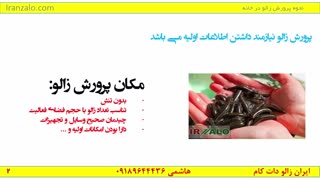 005 نحوه پرورش زالو در خانه