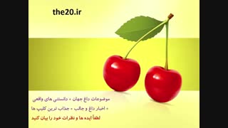 Very cool and cool خیلی جالب و باحال 8