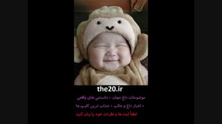 خیلی جالب و باحال the20.ir