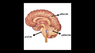 جلسه 19 دوره NLP - بازاریابی عصبی