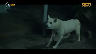 قسمت پانزدهم سریال کره ای تسخیر شده possessed + زیرنویس