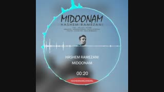 آهنگ جدید هاشم رمضانی به نام میدونم