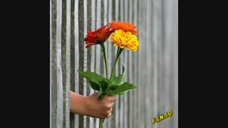 یه سسسسسسسسوووووووواااااااااااال