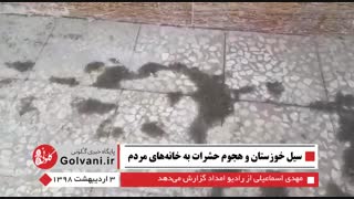 سیل خوزستان و هجوم حشرات به خانههای مردم