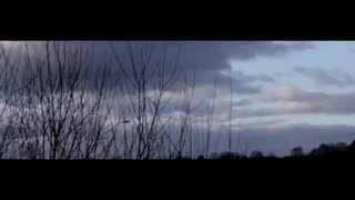 لنز 50 زایس-اجاره تجهیزات عکاسی و فیلمبرداری-اجاره لنزهای دوربین