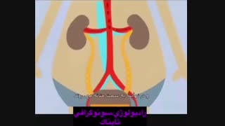 تکرر ادرار در بارداری