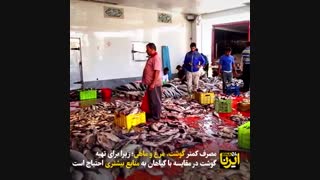 زمین خانه همه ماست