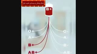 اهمیت گروه خونی در انتقال خون