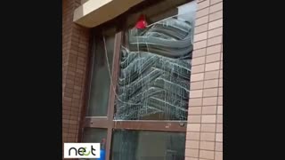 پنجره | nect.ir