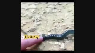 صداگذاری باحال....