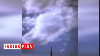 پرنده ای که جنگنده آمریکایی را در آسمان منهدم کرد