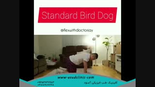 حرکات متنوع برای درد انتشاری پا