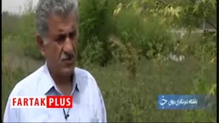 رونق دادن چرخه کشاورزی با کارآفرینی پدر و پسر آملی