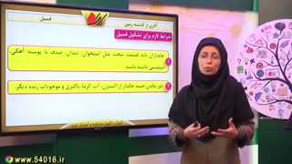 زمین نهم - فسیل - آثاری از گذشته زمین