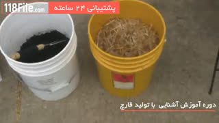 ترفندهای نگهداری و تولید قارچ در خانه