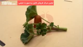 آموزش پرورش و نگهداری گل و گیاهان آپارتمانی از 0 تا 100