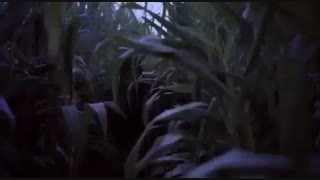 فیلم دو لکه ابر