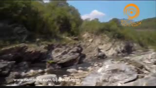 موزیک بیکلام