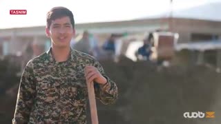 نوجوانان؛ پای کار