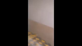 نوار نقاله تخلیه و بارگیری 02155594341