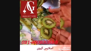 دستگاه اسلایسر و خردکن میوه
