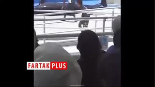 فرار ناکام یک دلفین از دلفیناریوم