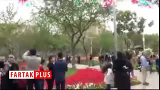 جشنواره‌ای که با جذابیت‌های کم‌نظیر، همه را به خود جذب کرده است