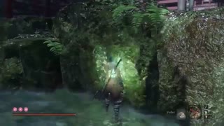 Sekiro walkthrough : part 25 - مراحل بازی سکیرو : قسمت بیست و پنجم