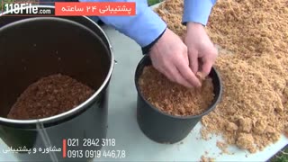 راه های تشخیص قارچ سمی و غیر سمی
