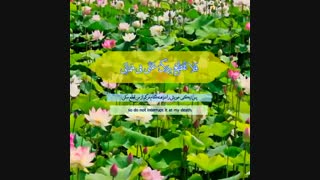 مناجات شعبانیه_فرهمند-جنبش السابقون