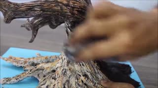 آموزش ساخت مجسمه درخت مرده