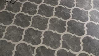 فرش کلاریس طرح پر طرفدار پیکاسو