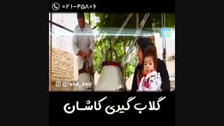 گلابگیری کاشان