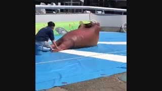 ممارسه الریاضه