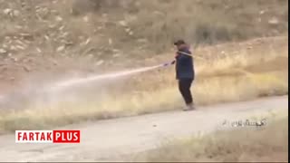 جدیدترین وضعیت مبارزه با ملخ‌ها در جنوب کشور