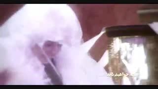 دانلود حلال و قانونی سریال هشتگ خاله سوسکه قسمت 13