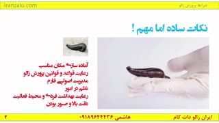 006 شرایط پرورش زالو