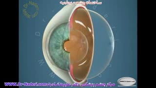 زجاجیه -ساختمان چشم-مرکز چشم پزشکی دکتر علیرضا نادری