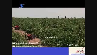 روستای رودک - قزوین (یه جای خوب)
