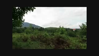 پناه بردن به دل طبیعت در شمال