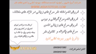 فروش تخم نطفه دار شرکت آریاطیور