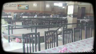رستوران ملی در بندر انزلی