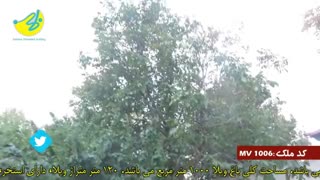 فروش باغ ویلا در ملاردکد1006 املاک بمان
