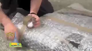 باربری مرکز تهران - باربری ایفل