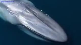 مستند سیاره ما